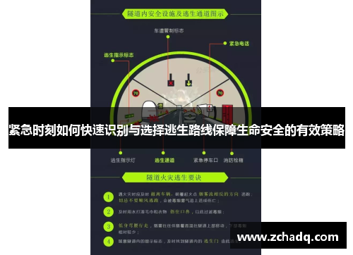 紧急时刻如何快速识别与选择逃生路线保障生命安全的有效策略